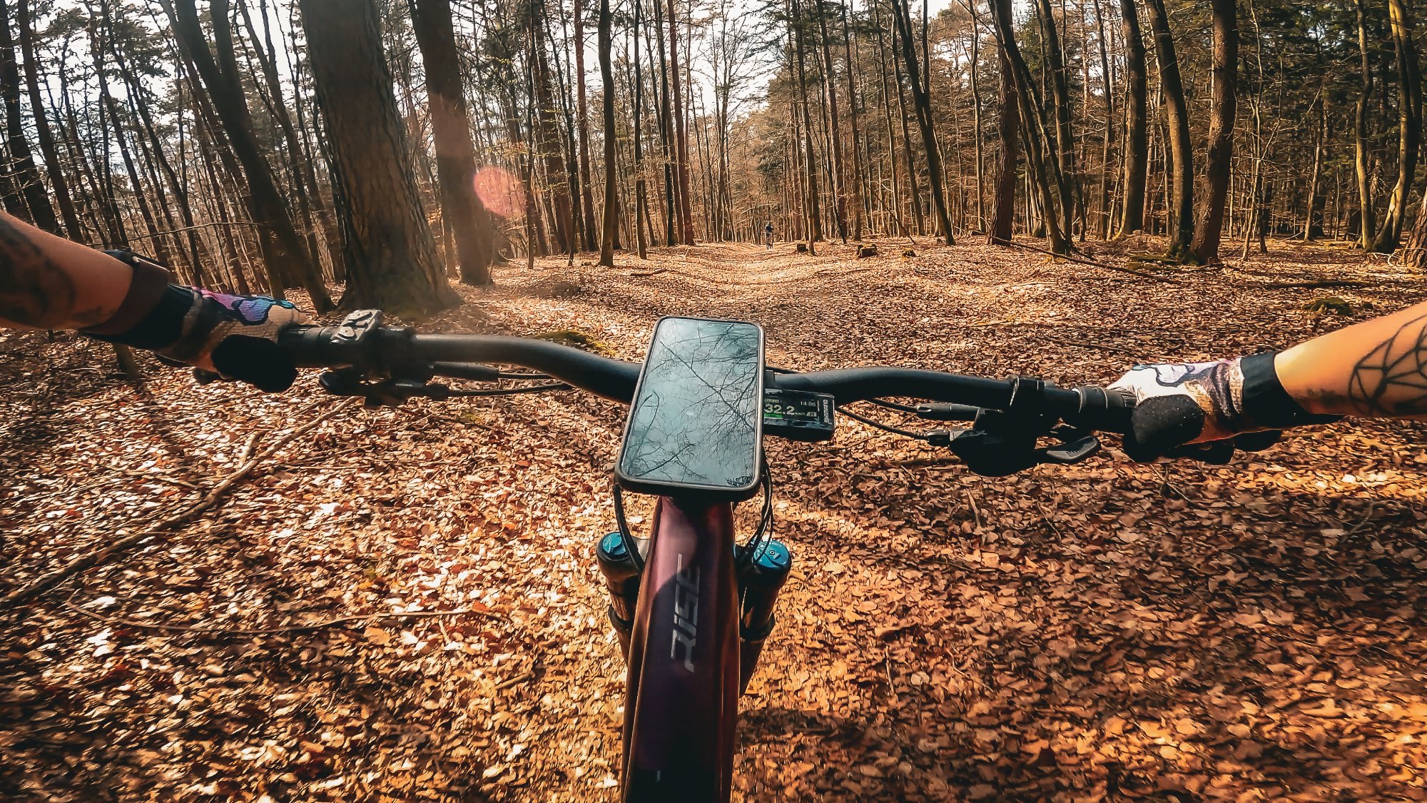 vlcsnap-2025-04-05-20h22m44s251.jpg