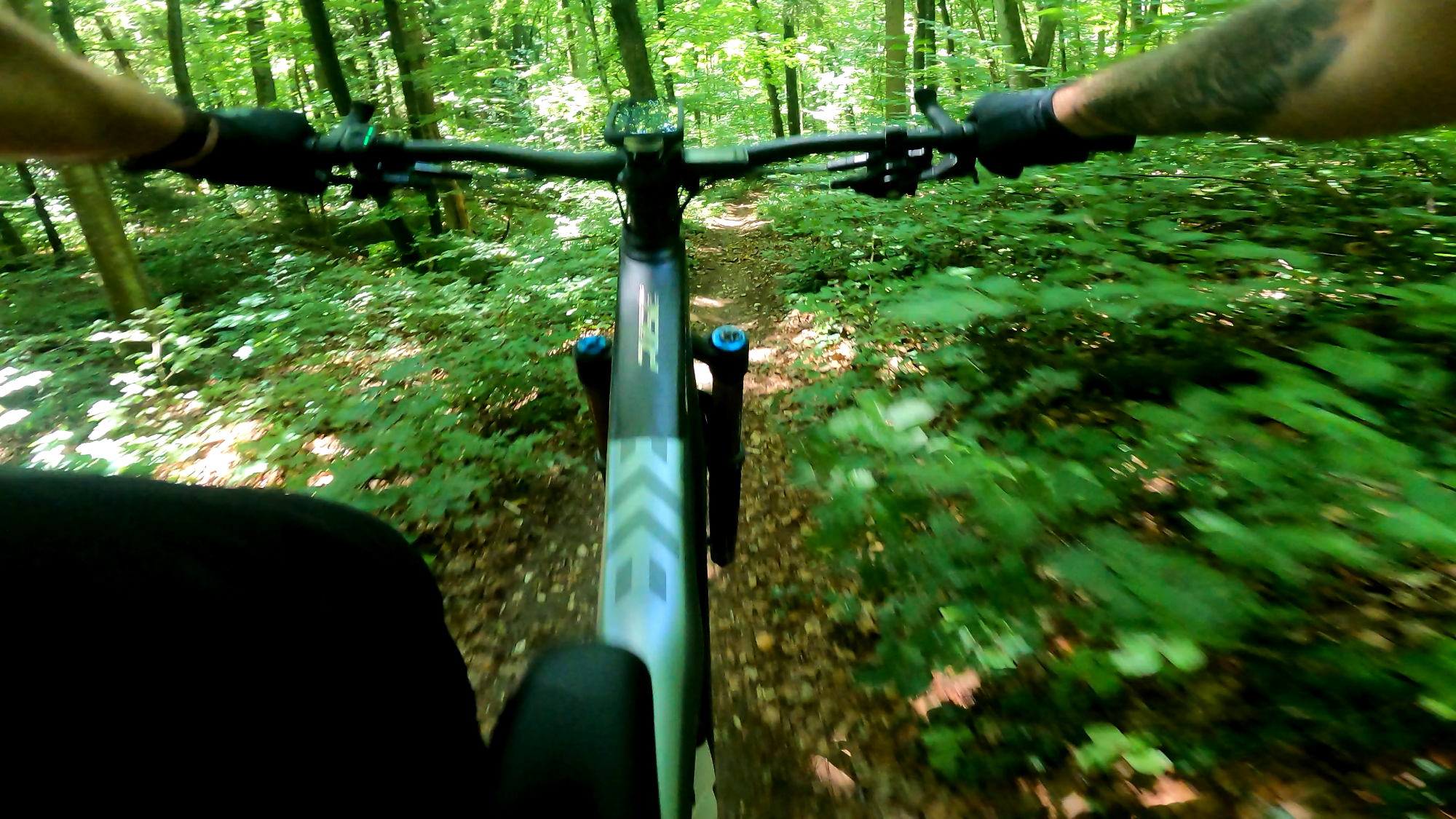 vlcsnap-2025-06-21-14h49m32s384.png