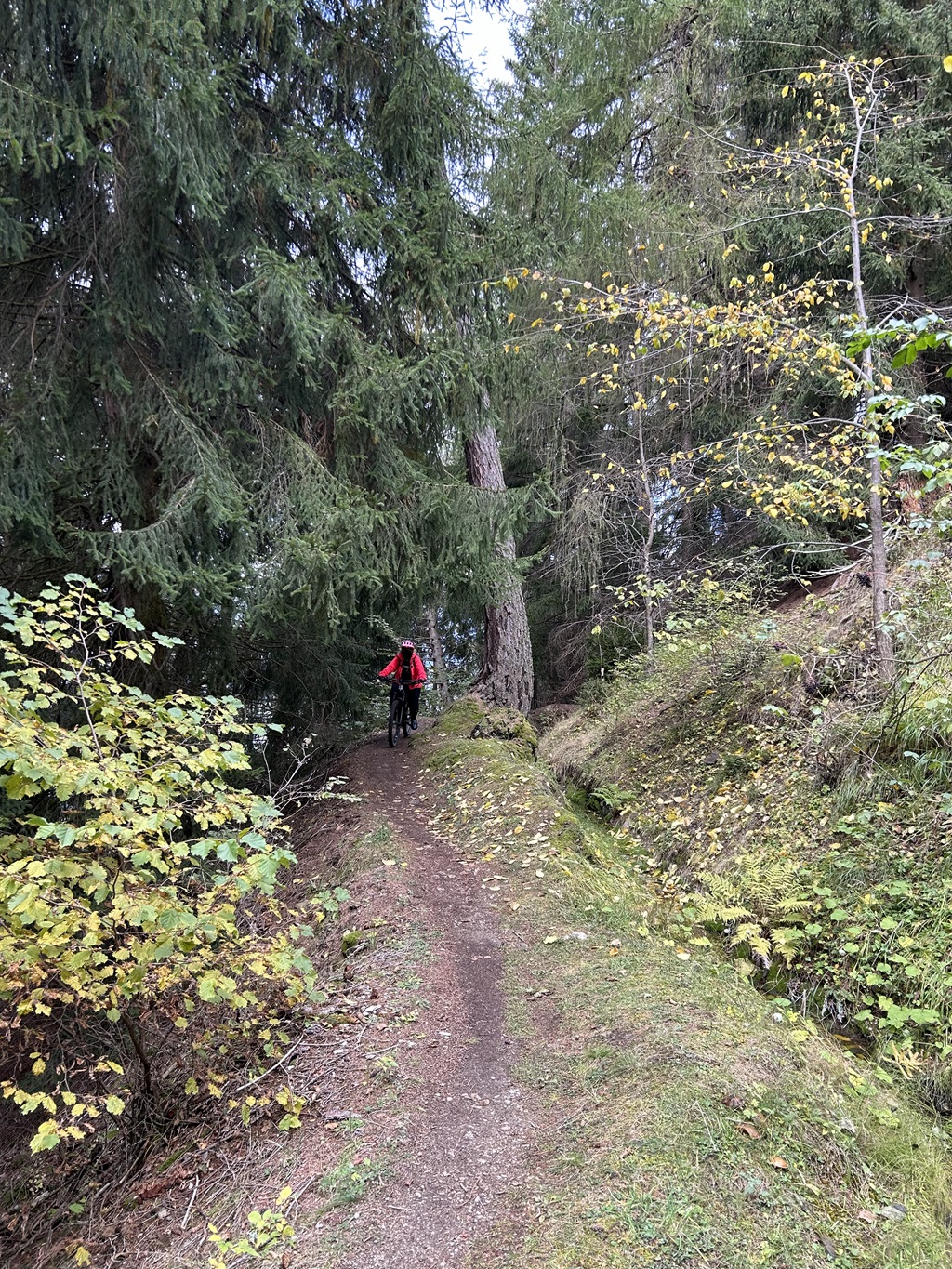 Waalweg am 1.Tag verkleinert verfremdet 1.jpg