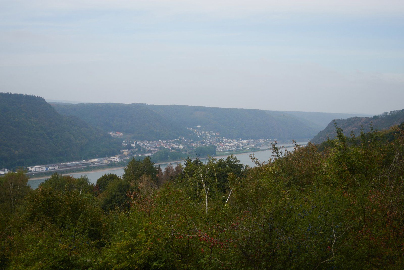 WebDSC_0042.jpg