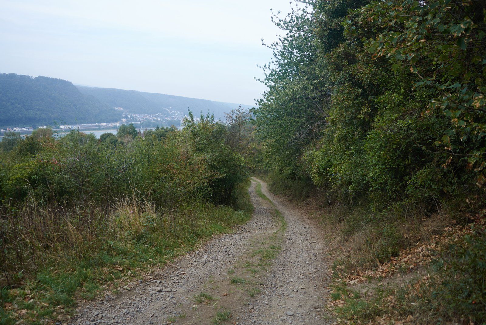 WebDSC_0046.jpg
