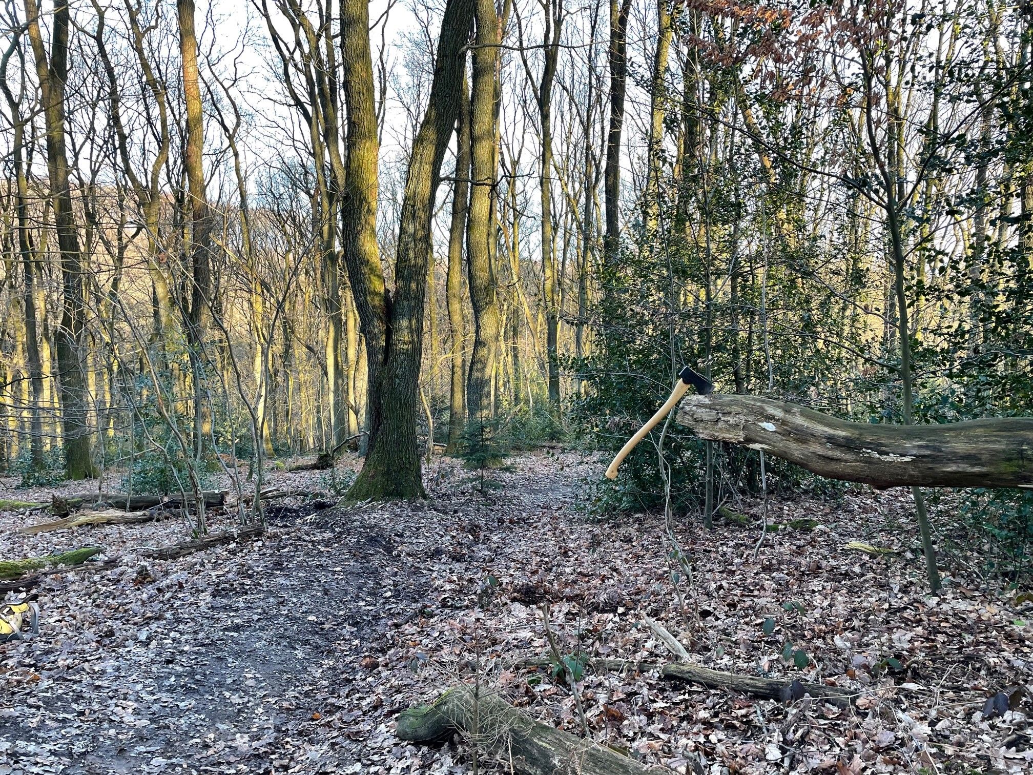 Weg frei mit Axt.jpg
