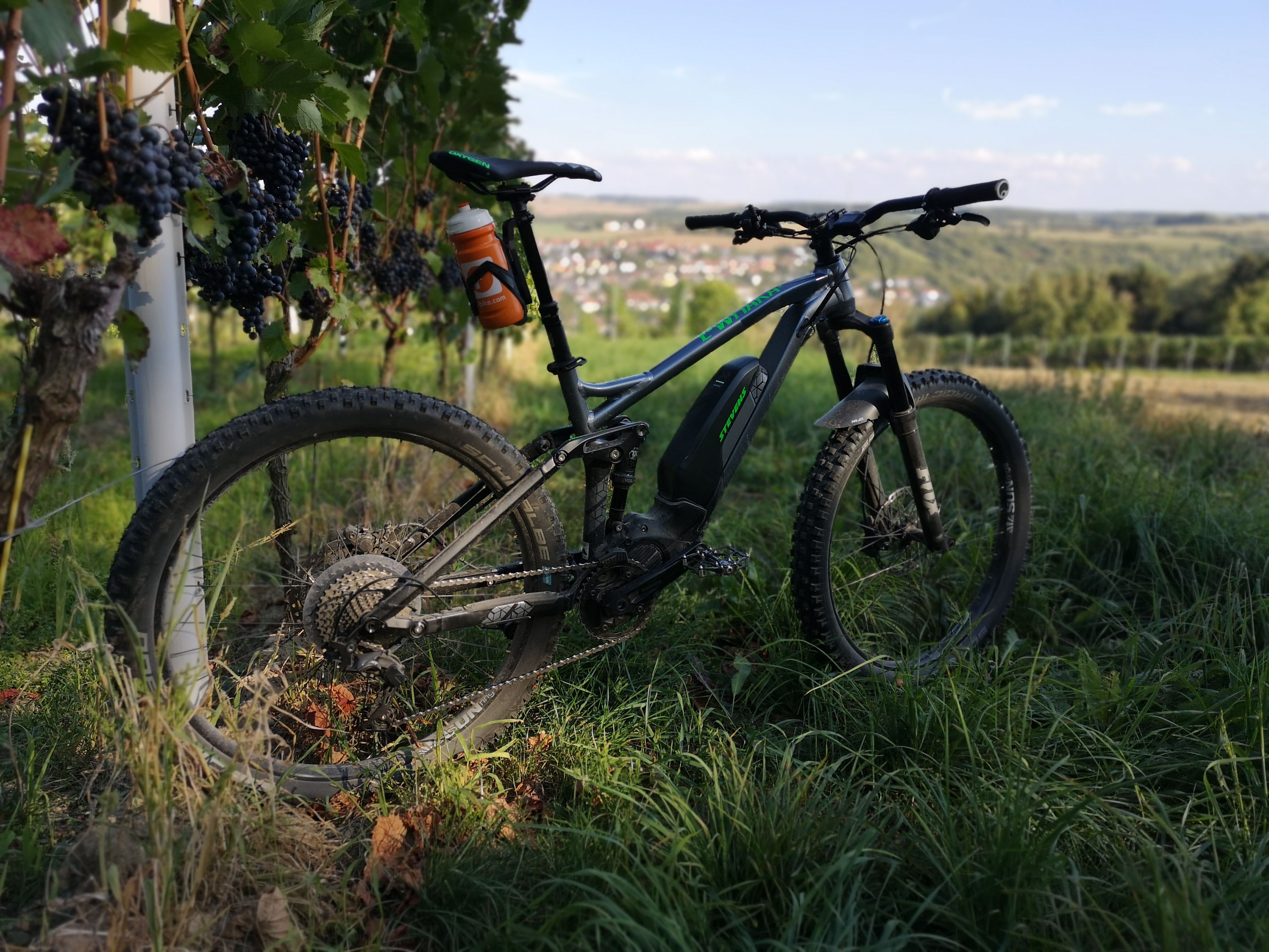 Weinbergtrails.jpg