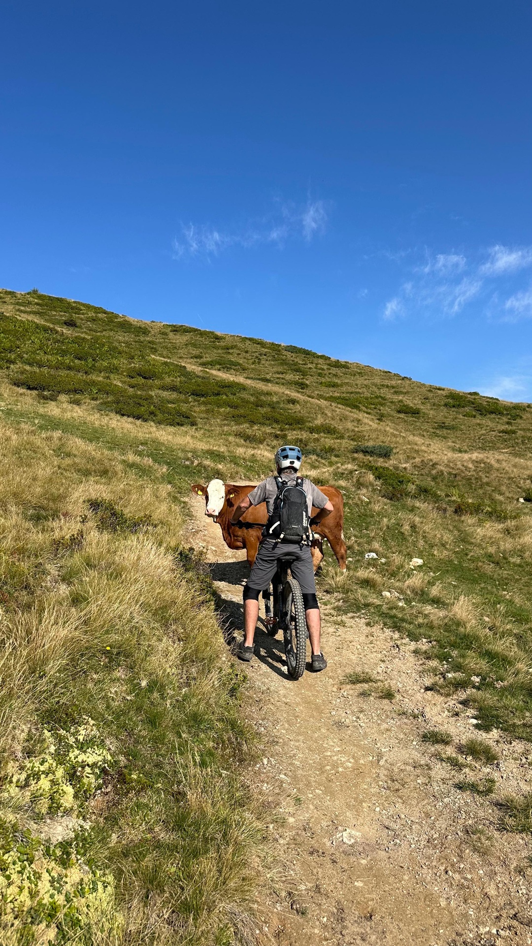 Wildwechsel auf dem Penkkopf Trail.jpg
