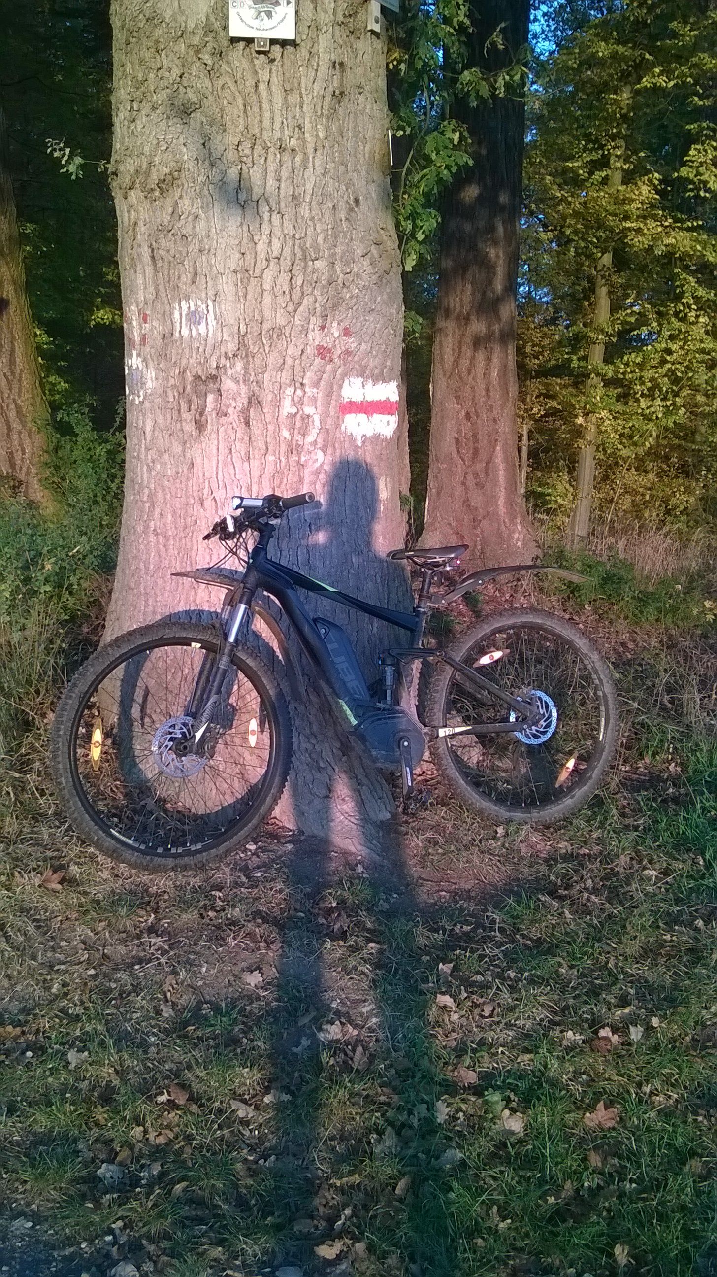 WP_20171015_007.jpg