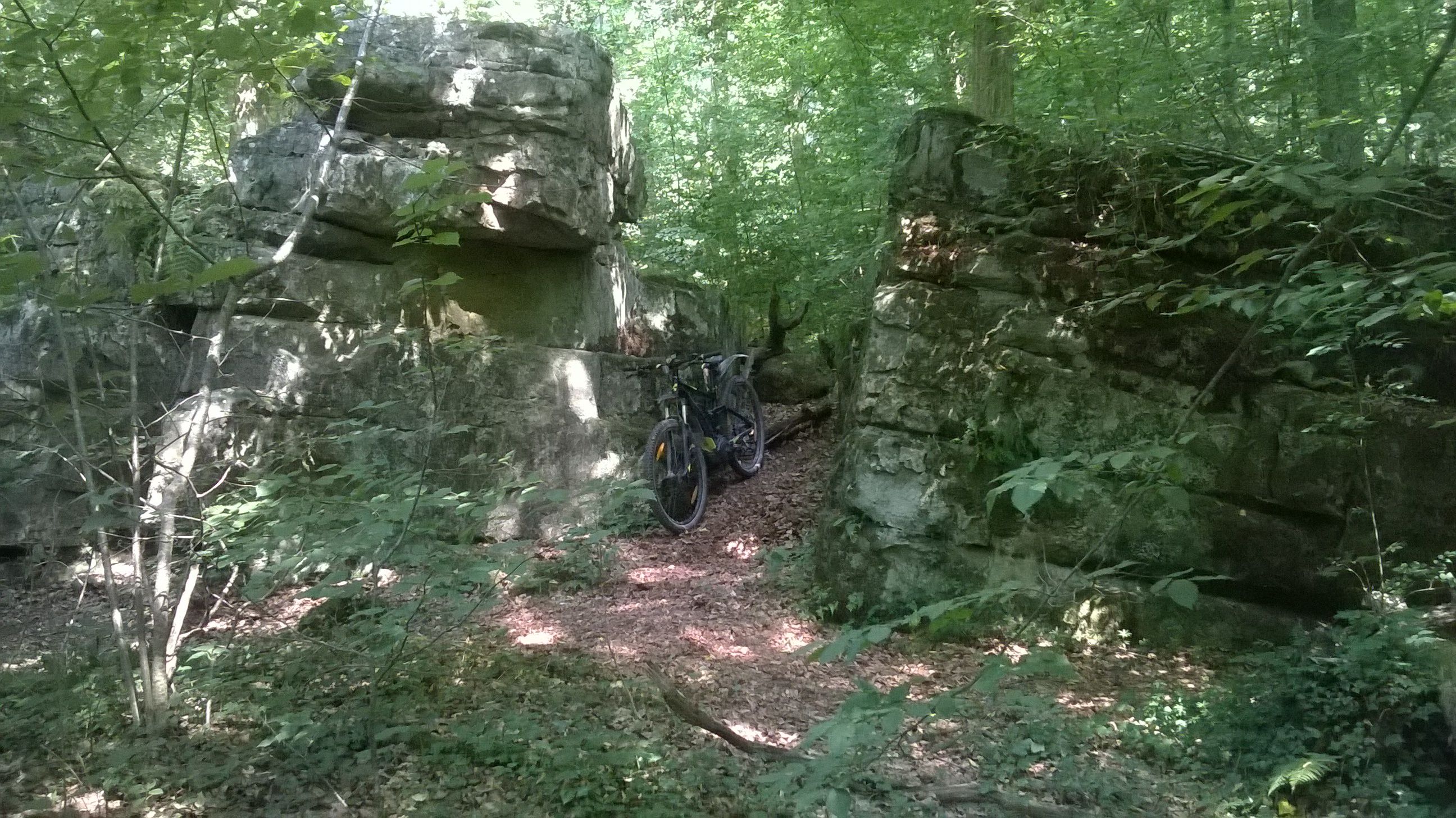 WP_20180727_037.jpg