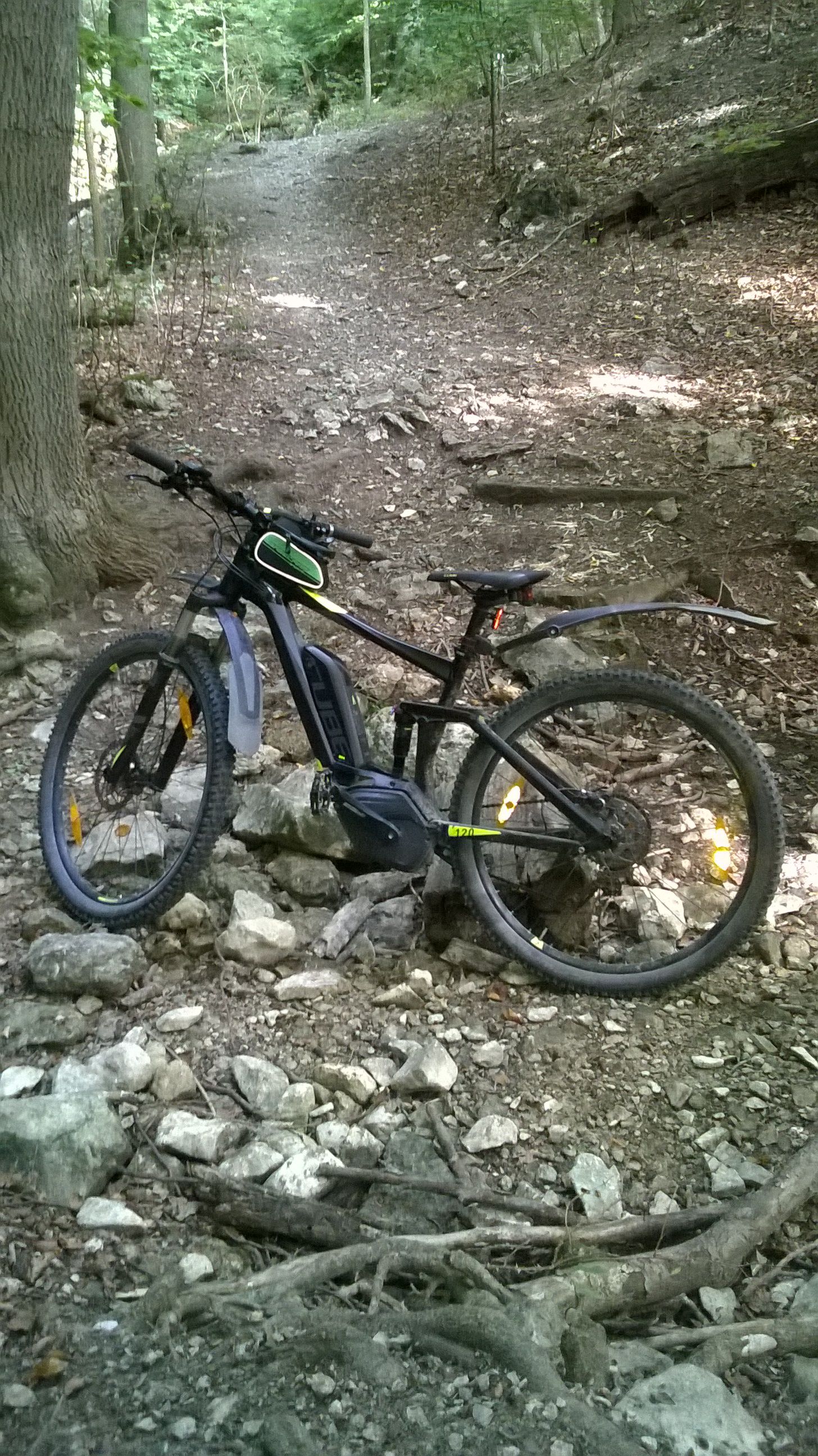 WP_20180910_033.jpg