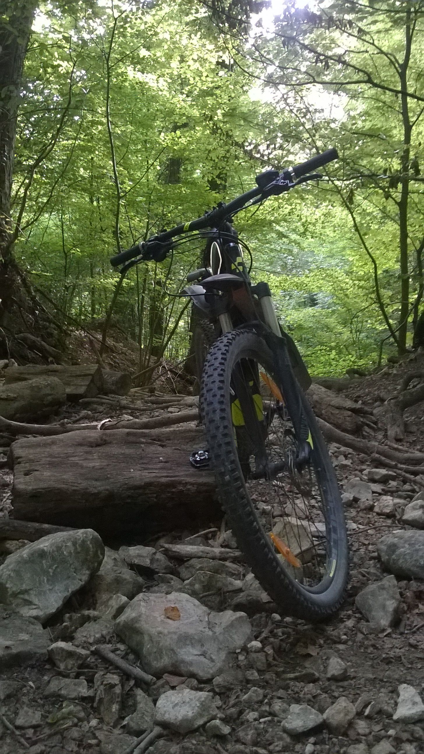 WP_20180910_034.jpg