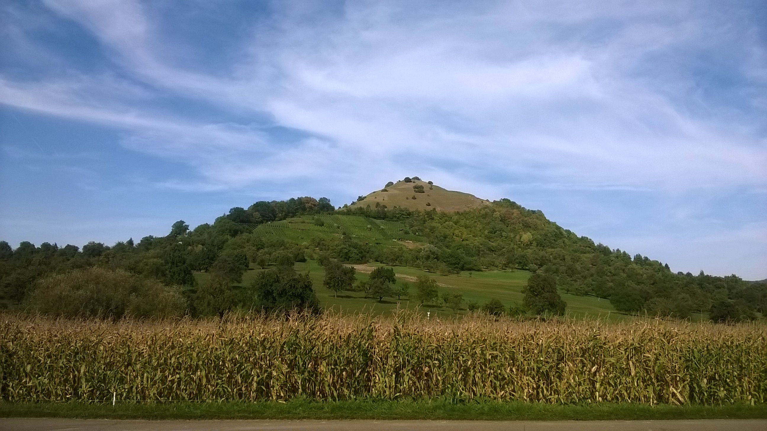 WP_20180911_019.jpg