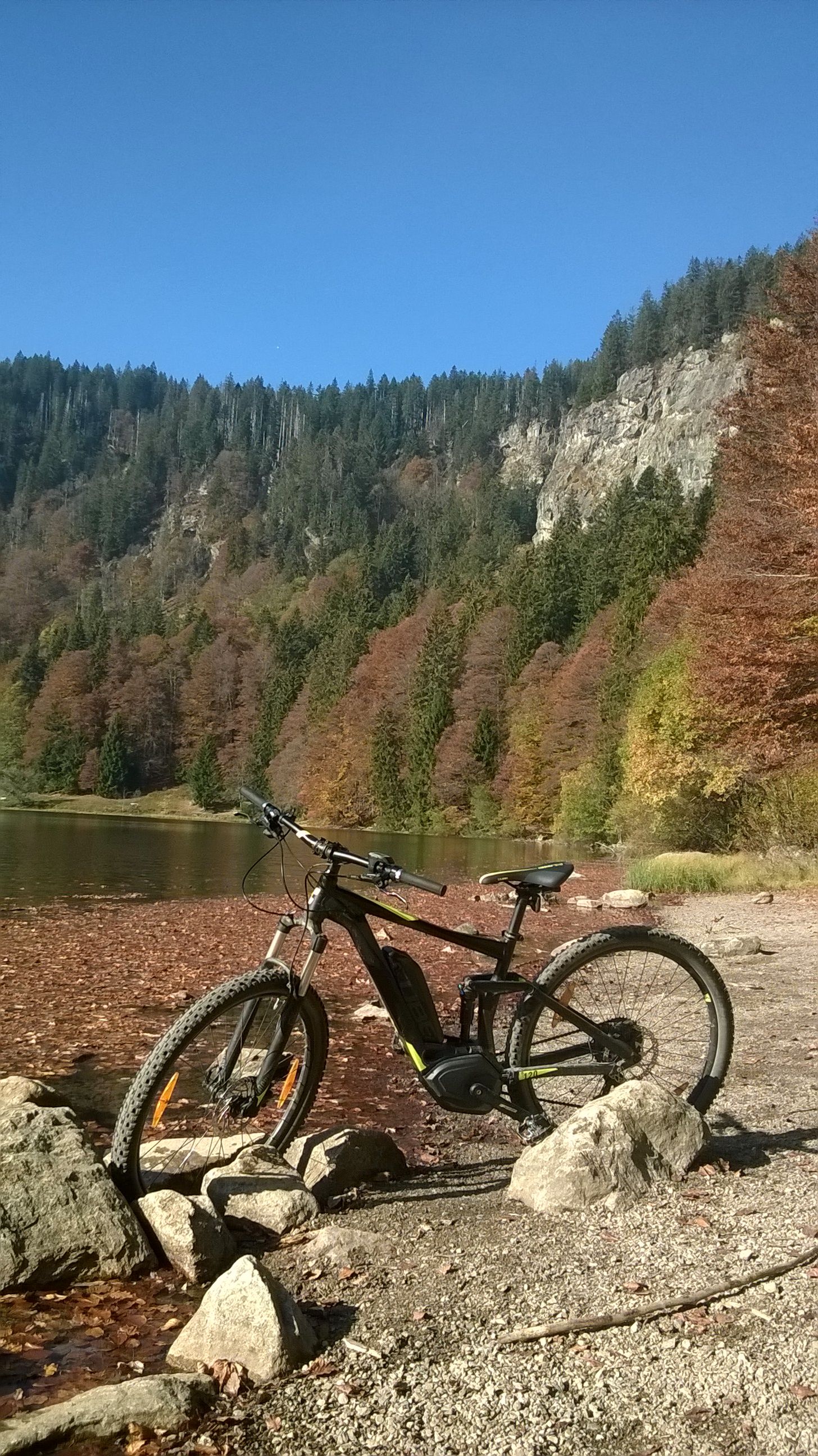 WP_20181019_017.jpg