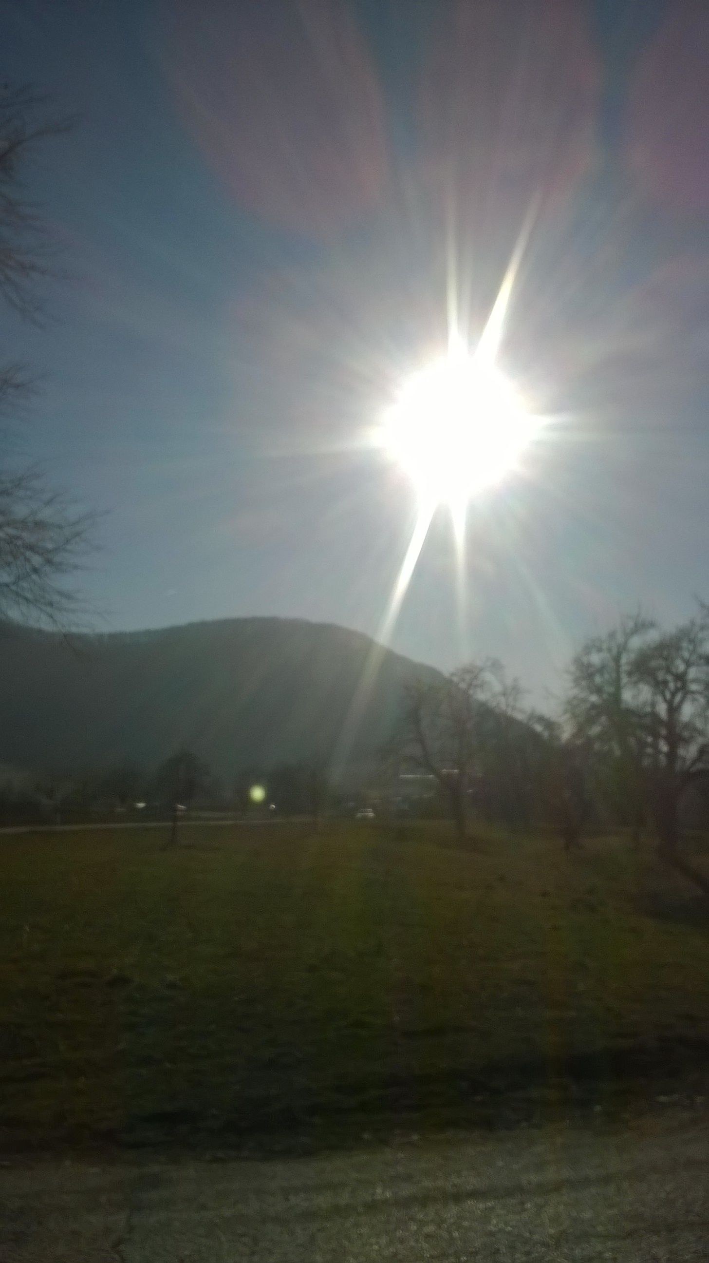WP_20190218_001.jpg