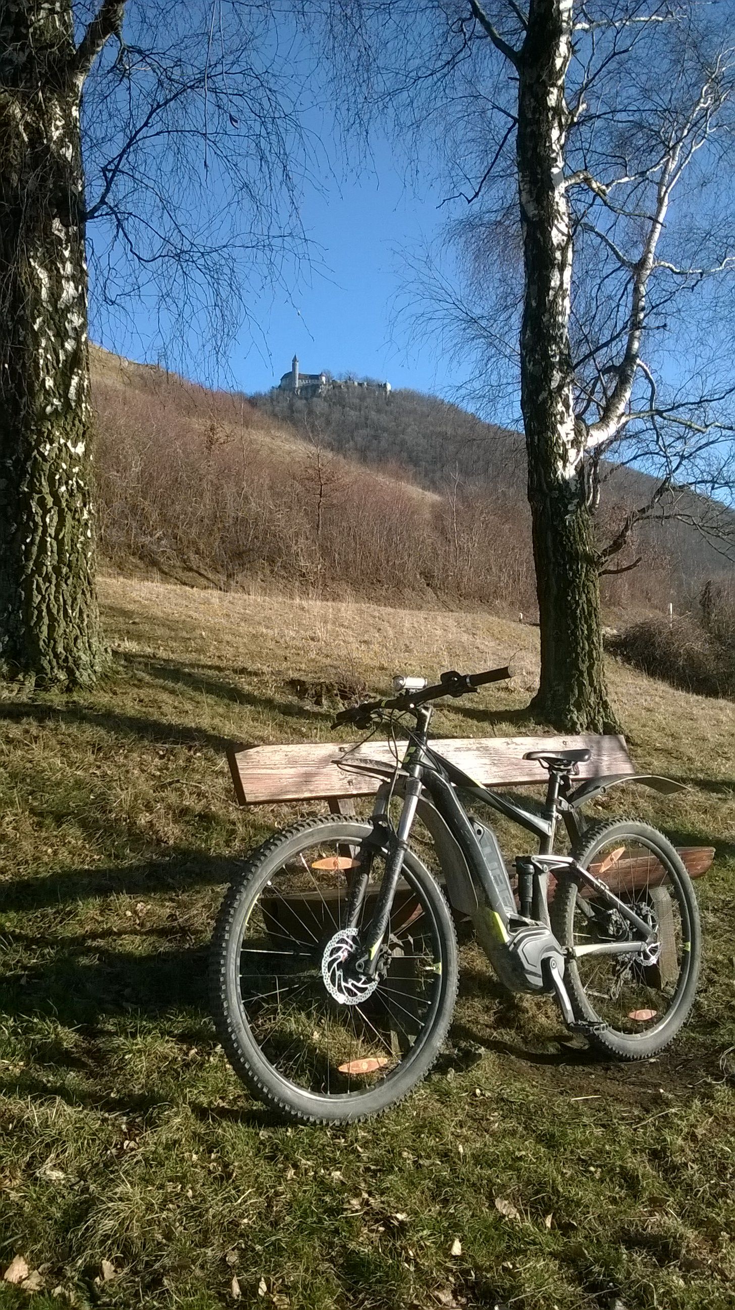 WP_20190218_005.jpg