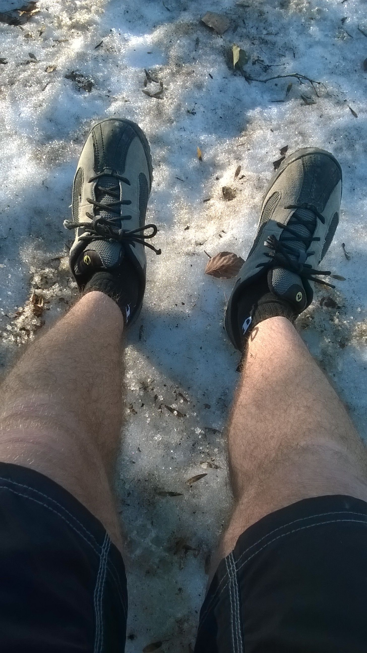 WP_20190218_025.jpg