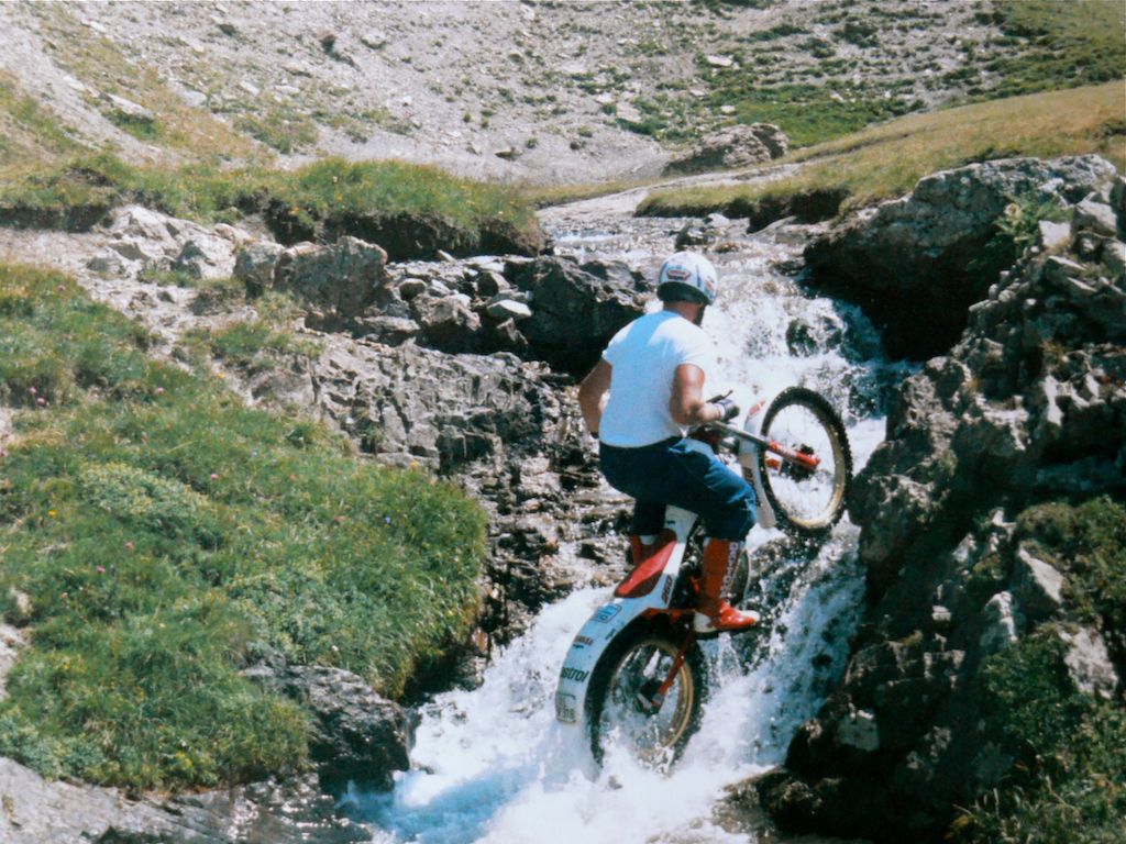 Wurzeln 4.jpg