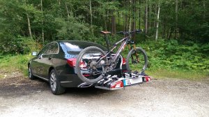 Hirsch auf Auto.jpg