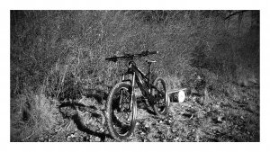 IMAG1919-EFFECTS.jpg