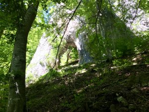 IMG_1422.JPG