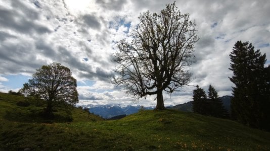 IMG_20260518_103057.jpg