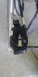 IMG_20200313_160602.jpg