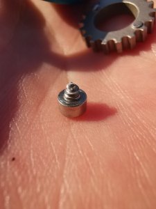 IMG_20200324_162018.jpg