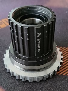 DSC_3943.JPG