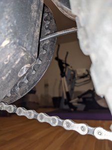 PXL_20200904_195752034.jpg