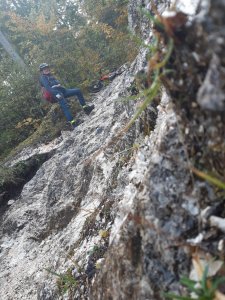 20201009_153130.jpg