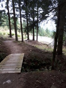 20170921_102627.jpg