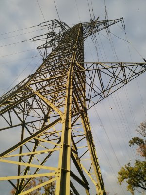 IMG_20201113_155724.jpg