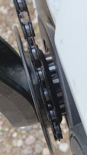 DSC_0026.JPG