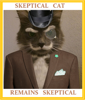 skeptical cat remains skeptical.png