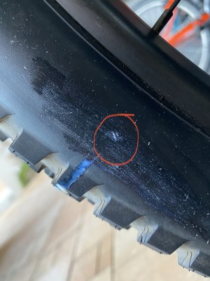 EBB26270-3C81-4656-8EE3-4736ADA79066.jpeg