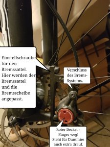 DD Biking Scheibenbremse F 180 Ebrake Bremse Bremsen.jpg