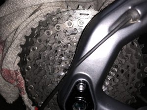 IMG_2868.jpg