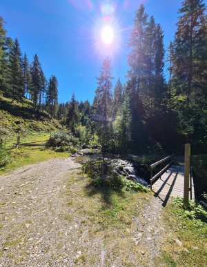 Screenshot 2021-09-27 at 14-15-10 Bad Kleinkirchheim - Country Flow Trail (Längster Europas) ...png