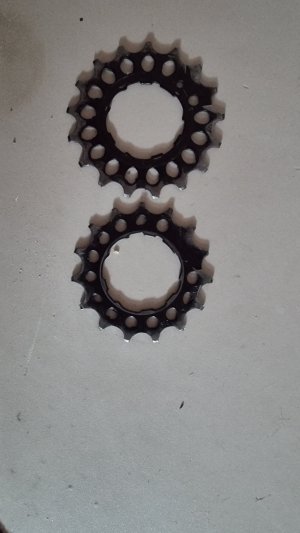 20220310_172926.jpg