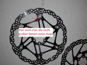 bild 1.jpg