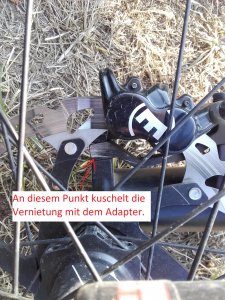 bild2.jpg