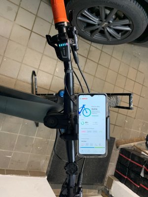 Bosch 6.jpg