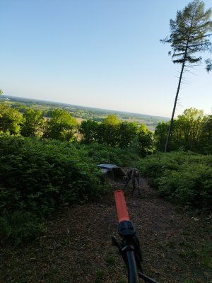 IMG_20220508_193729.jpg