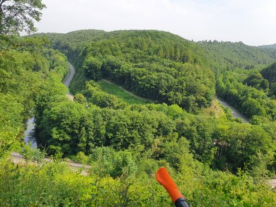 20220619_104625.jpg