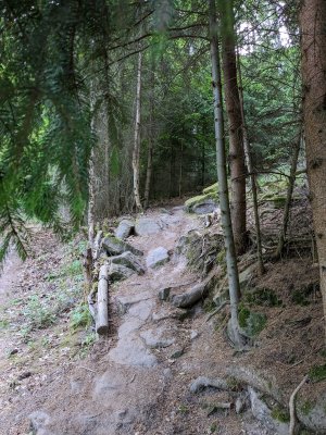 PXL_20230606_153227963.jpg