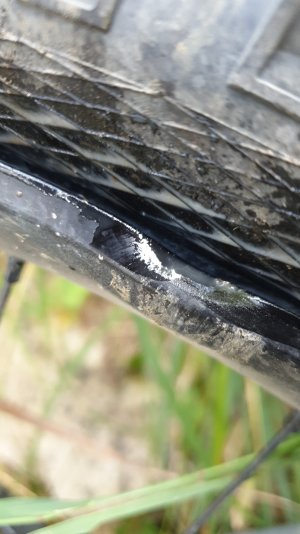IMG-20230915-WA0014.jpeg