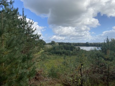 IMG_1207.jpeg