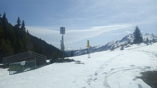 Loassattel_03.jpg