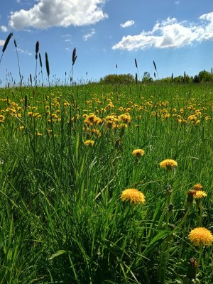 IMG_20250426_144950644_HDR.jpg