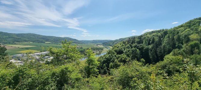 20250510_140623.jpg