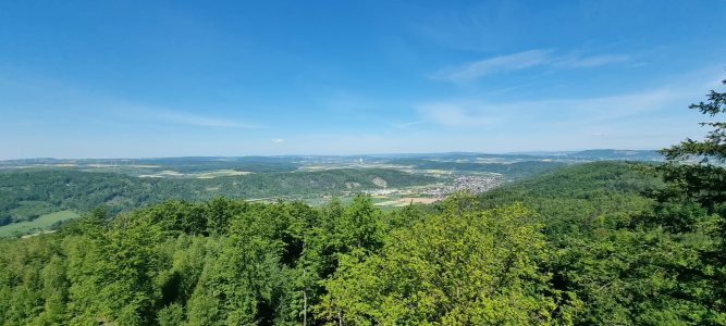 20250510_114628.jpg