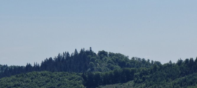 20250510_114652.jpg