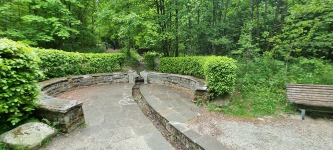 20250522_115221.jpg